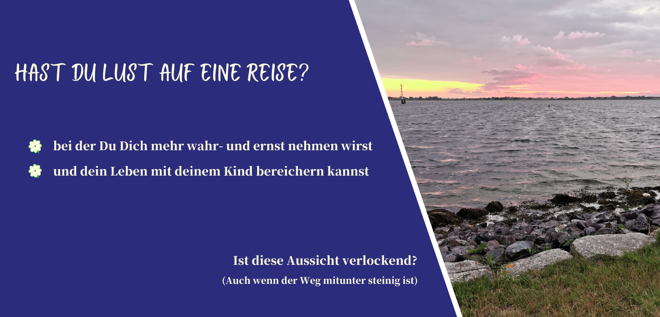 Karaffe Gesundheit und Schönheit Online-Shop Website (4)